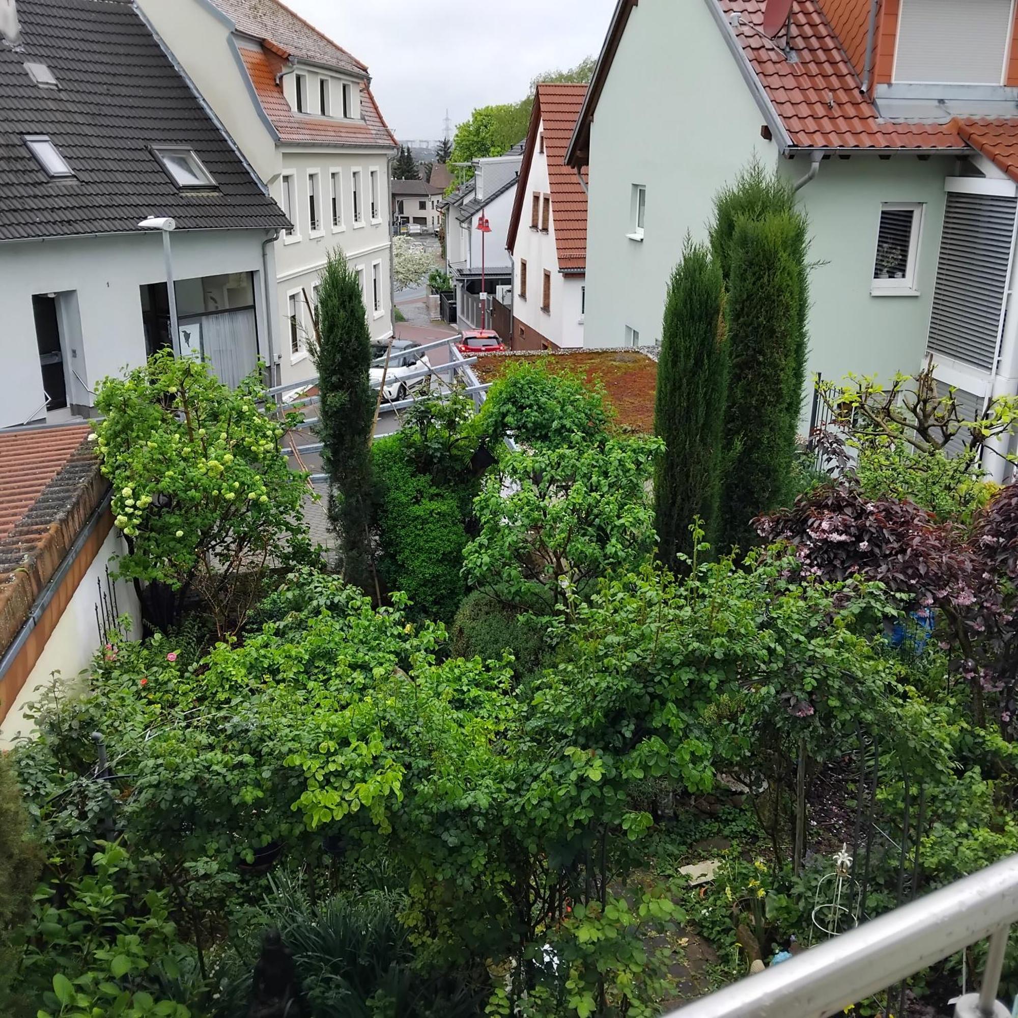 Residenz Am Berg Leilighet Leimen  Eksteriør bilde